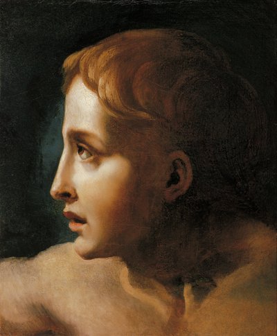 青年团长 作者 Theodore Gericault