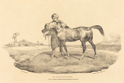 一匹阿拉伯马 作者 西奥多·杰里科（Theodore Gericault）