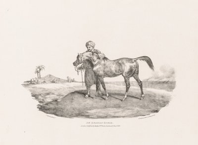 一匹阿拉伯马 作者 西奥多·杰里科（Theodore Gericault）
