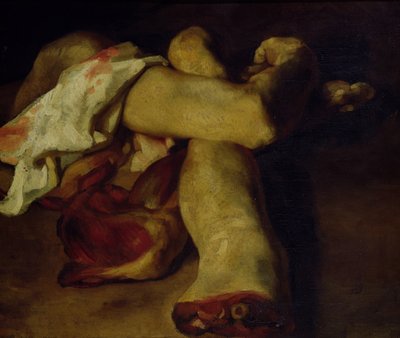 解剖片（布面油画） 作者 西奥多·杰里科（Theodore Gericault）