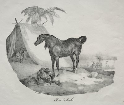 阿拉伯马 作者 西奥多·杰里科（Theodore Gericault）