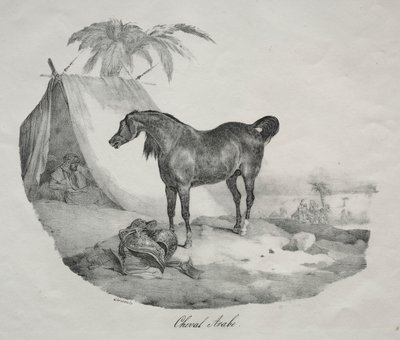 阿拉伯马。 作者 西奥多·杰里科（Theodore Gericault）