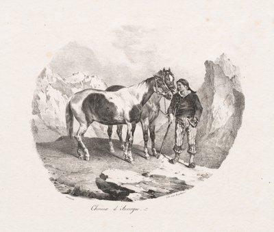奥弗涅的马匹，1822年。 作者 西奥多·杰里科（Theodore Gericault）
