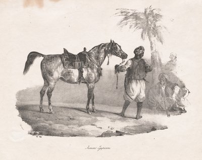 埃及母马 作者 西奥多·杰里科（Theodore Gericault）