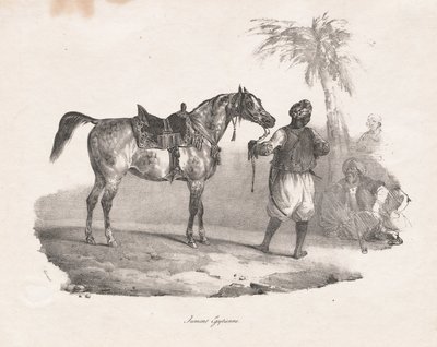 埃及母马 作者 西奥多·杰里科（Theodore Gericault）