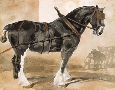 利用黑马 作者 西奥多·杰里科（Theodore Gericault）