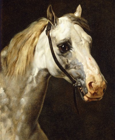 花斑马的头 作者 西奥多·杰里科（Theodore Gericault）