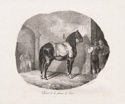 卡昂平原的马 作者 西奥多·杰里科（Theodore Gericault）