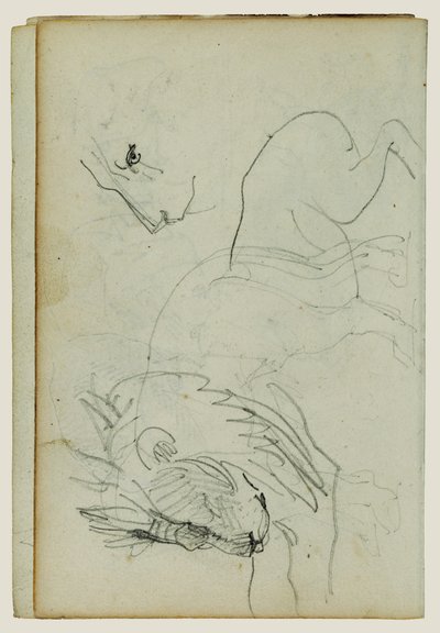 狮子研究 作者 西奥多·杰里科（Theodore Gericault）