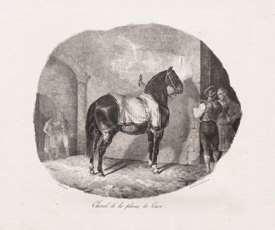 马的石版印刷研究：Pl。 7，来自卡昂平原的马，1822年。 作者 西奥多·杰里科（Theodore Gericault）