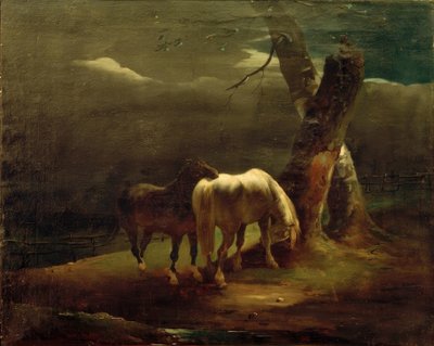 牧场中的马 作者 西奥多·杰里科（Theodore Gericault）
