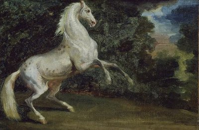跃马 作者 西奥多·杰里科（Theodore Gericault）