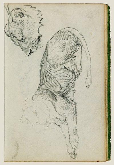 坐狮，雌狮头 作者 西奥多·杰里科（Theodore Gericault）
