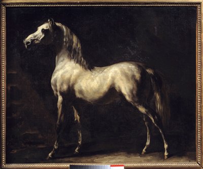 西奥多·杰里科特的马画研究 作者 西奥多·杰里科（Theodore Gericault）