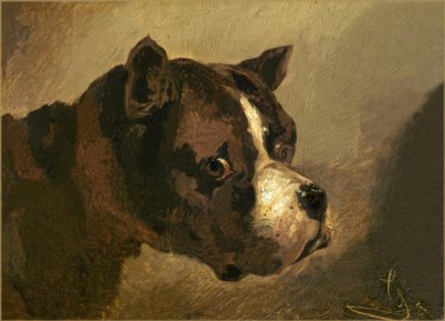牛头犬头 作者 西奥多·杰里科（Theodore Gericault）