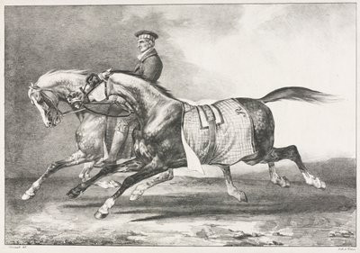 两匹斑驳的马在锻炼 作者 西奥多·杰里科（Theodore Gericault）