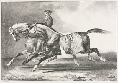 两匹起斑纹的马行使，1822年。 作者 西奥多·杰里科（Theodore Gericault）
