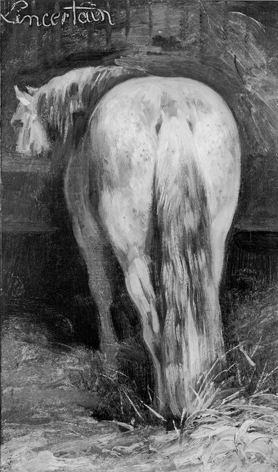 不确定，稳定的马 作者 Theodore Gericault