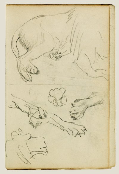 对狮子腿、爪和头的各种研究 作者 西奥多·杰里科（Theodore Gericault）