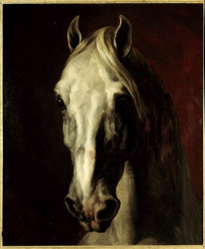 白马的头。 Theodore Gericault (1791-1824) 的绘画 作者 西奥多·杰里科（Theodore Gericault）