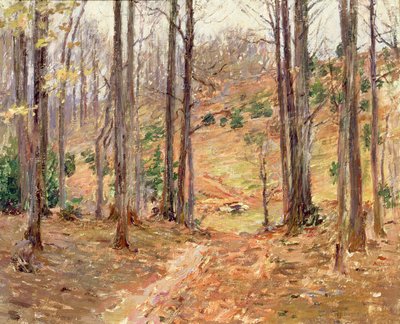 弗吉尼亚·伍兹（Virginia Woods），1893年 作者 西奥多·罗宾逊