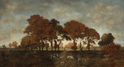 雨后》，约1850年。 作者 Theodore Rousseau