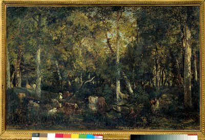 Interieur de bois dit le Vieux Dormoir du Bas-Breau (Fontainebleau forest) 画家：Theodore Rousseau (1812-1887) 1836 Sun. 0,65x1,03 m 巴黎，奥赛博物馆 作者 Pierre Etienne Theodore Rousseau