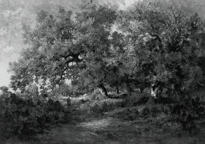 景观，约1860年。 作者 西奥多·卢梭
