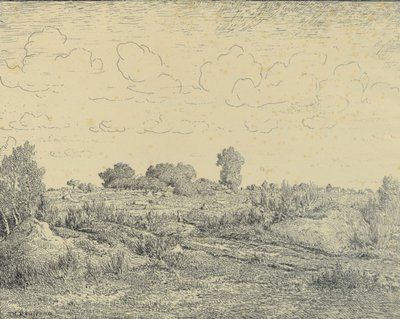 比奥的拉普朗特平原 作者 Theodore Rousseau