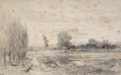 贝里的塞隆平原？ 作者 Theodore Rousseau