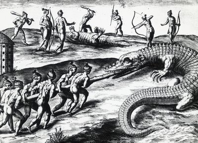 佛罗里达州的猎鳄活动，出自Jacques le Moyne de Morgues（约1533年-1588年之前）的画作，由Theodor de Bry（1528-1598）绘制。 雕刻品 作者 西奥多·德布瑞