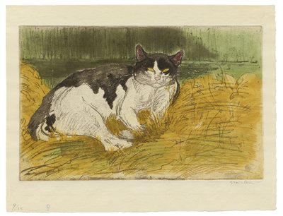 老黑猫在草丛中 作者 西奥菲勒·亚历山大·斯坦伦
