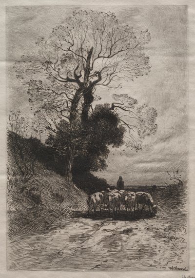 羊群的回归，约1870年。 作者 西奥菲勒·纳西斯·肖维尔