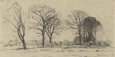 有树的风景 作者 西奥菲·德·博克（Theophile de Bock）