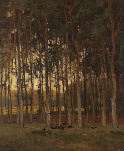 林中美景 作者 西奥菲·德·博克（Theophile de Bock）