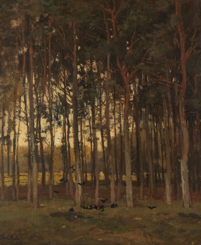 林中美景 作者 西奥菲·德·博克（Theophile de Bock）