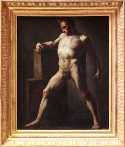 法语: 人类学院 作者 西奥多·杰里科（Theodore Gericault）