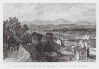 View from the Walls of Chester, looking into Wales (engraving) 作者 托马斯（后）Allom