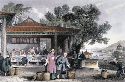 茶的文化和制备》，中国，1843年 作者 托马斯·阿隆