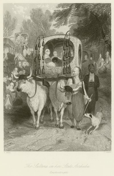 苏丹娜在她的国家Arrhuba 作者 Thomas Allom