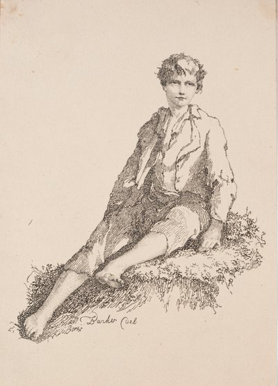 多图画的标本：坐在草滩上的男孩，1803年。 作者 托马斯·巴克