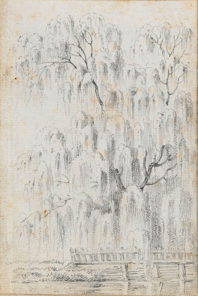 默顿一棵悬挂在水面上的树的研究（右图） 作者 托马斯·巴克斯特