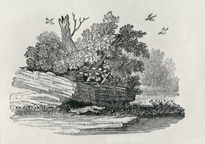 福克斯逃离，来自“四足动物的通史”，1790年出版（木版画） 作者 托马斯·贝威克