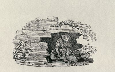 坐着的人庇护“英国鸟类和四足动物的历史”（雕刻） 作者 托马斯·贝威克
