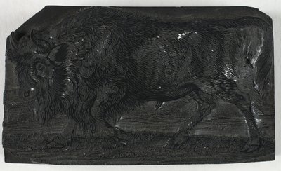 四足动物通史》中的 "乌鲁斯 "或 "野牛 "木刻版画 作者 托马斯·贝威克