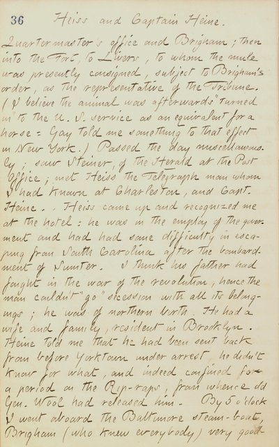 托马斯-巴特勒-冈恩日记--第20卷，第44页，1862年6月4日 作者 Thomas Butler Gunn