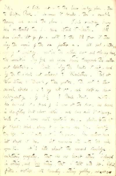 托马斯-巴特勒-冈恩日记--第五卷，第211页，1853年6月5日 作者 托马斯·巴特勒·冈恩