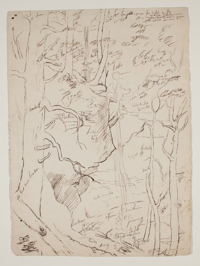 卡特斯基尔瀑布，约1801-48（钢笔和棕色墨水） 作者 托马斯·科尔