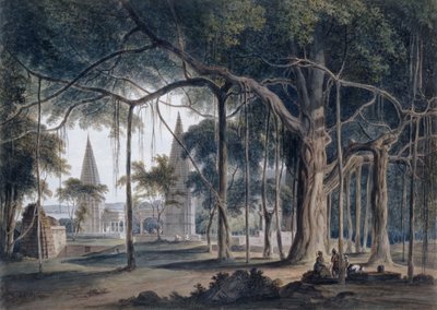 在北方邦阿哥里的印度教寺庙， 作者 Thomas Daniell