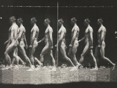[Man Walking, Stroboscopic Photograph], 1880s, printed 1930s-40s. 作者 托马斯·埃金斯
